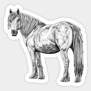 Wild horse illustration Sticker